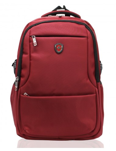 Morral Ejecutivo Negro I Envíos Gratis I SwissPass®