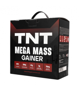 TNT MEGA  MASS GAINER 10 LBS